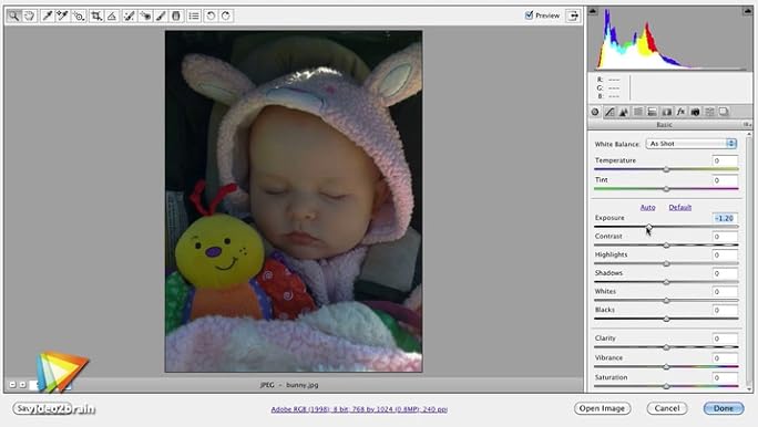 Adobe Photoshop Cs6: Learn by Video: Core Training in Visual